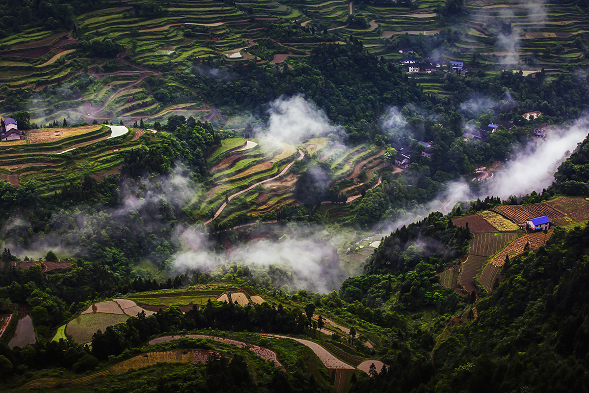 云雾小景1