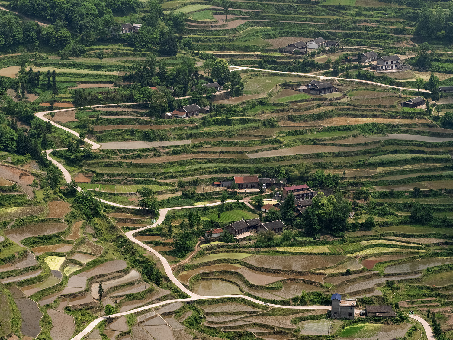 龙凤梯田
