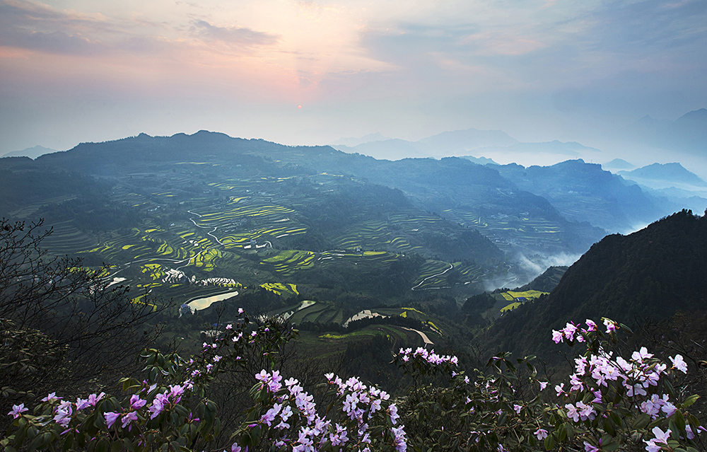山花烂漫
