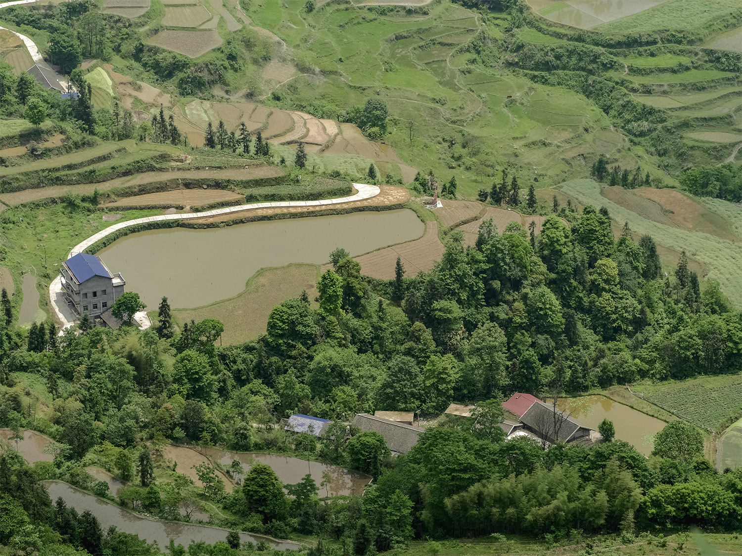 龙凤梯田