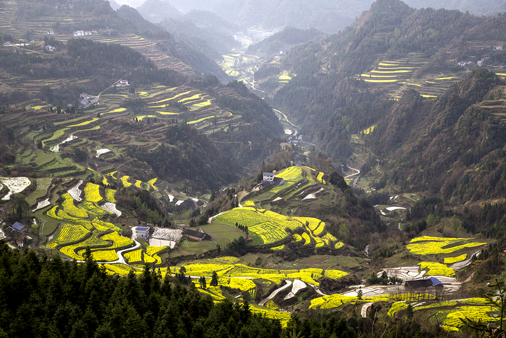 高山田园