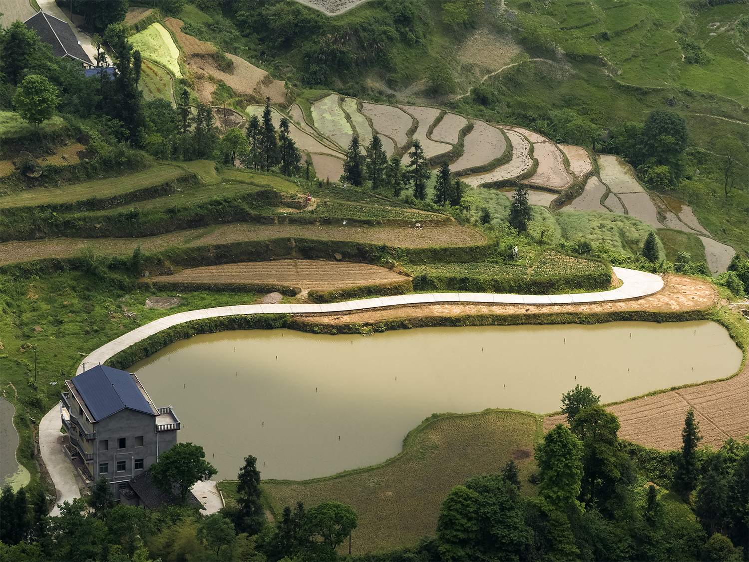 龙凤村