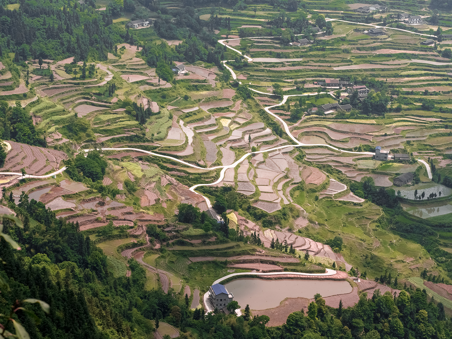 龙凤梯田