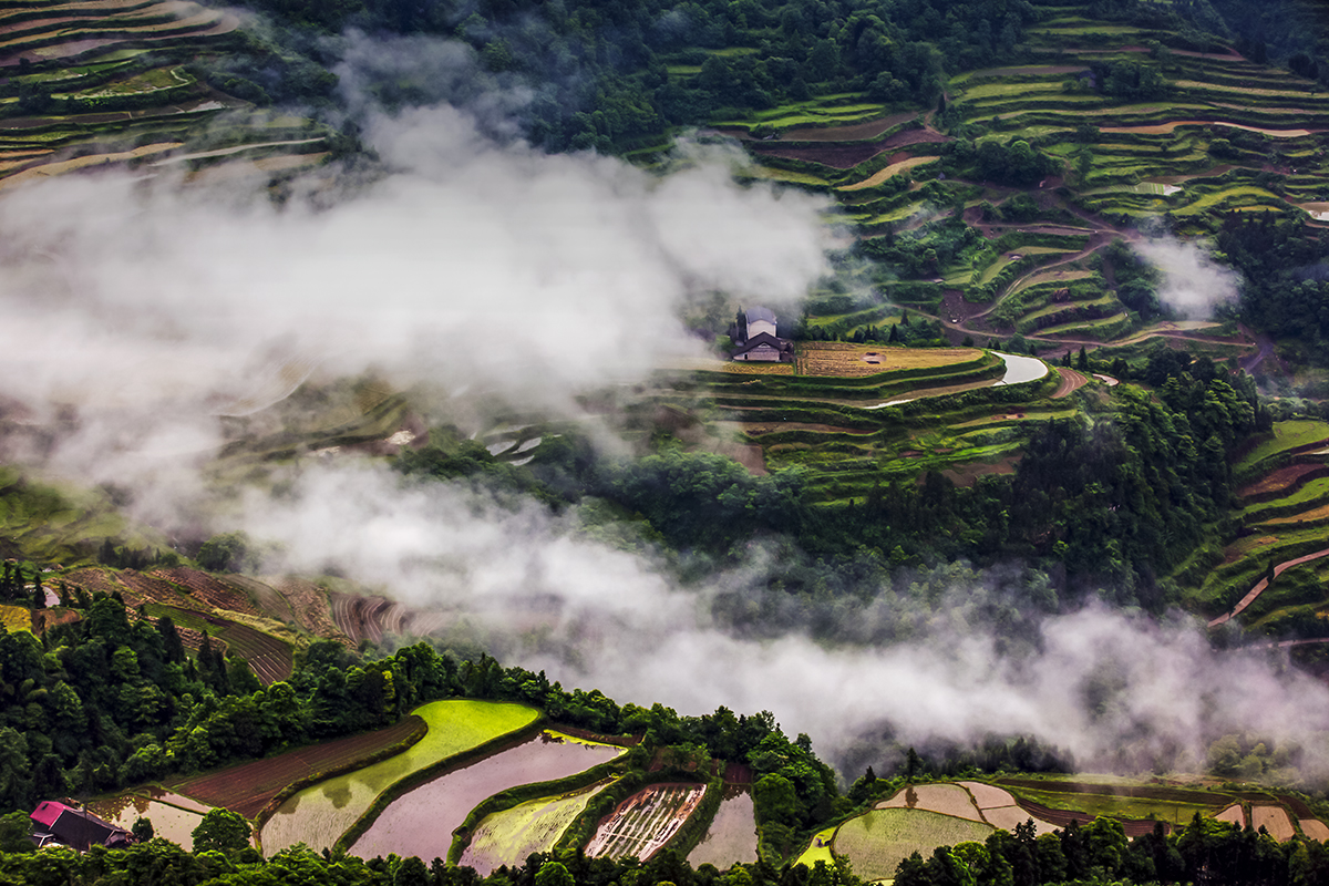 云雾小景4