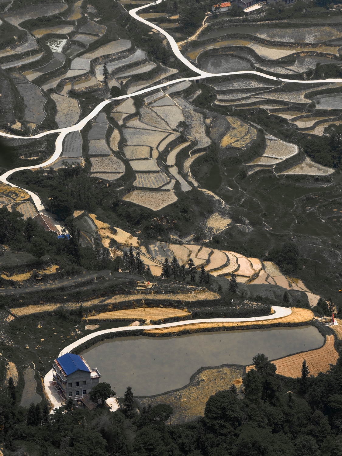 龙凤梯田