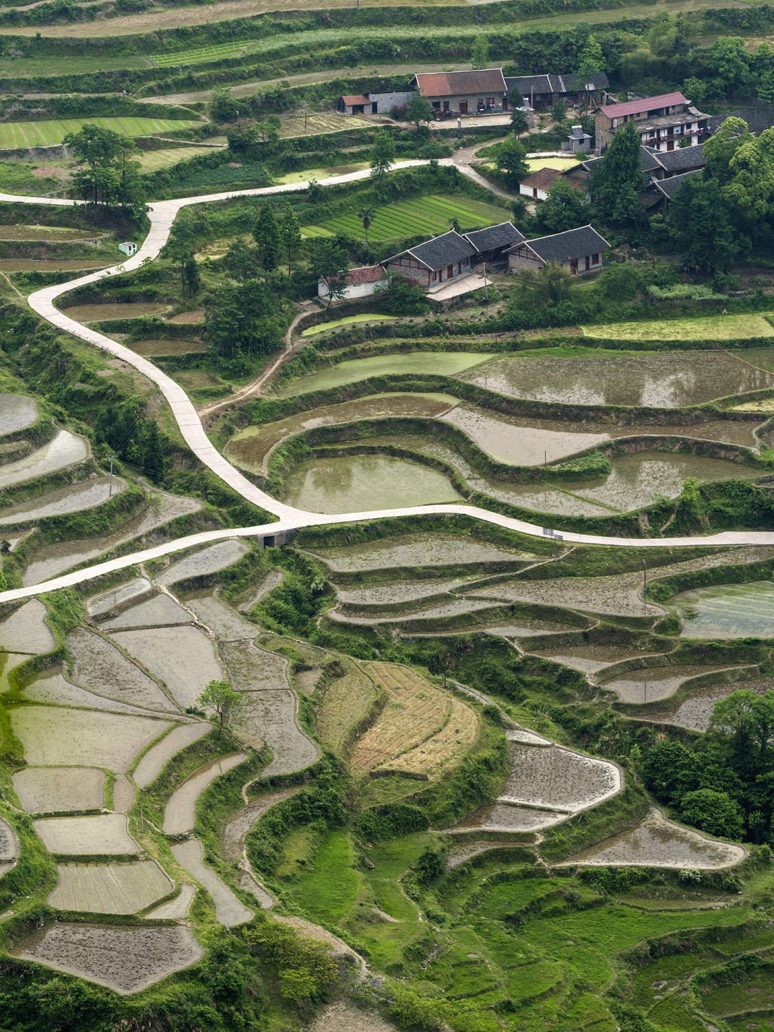 龙凤梯田