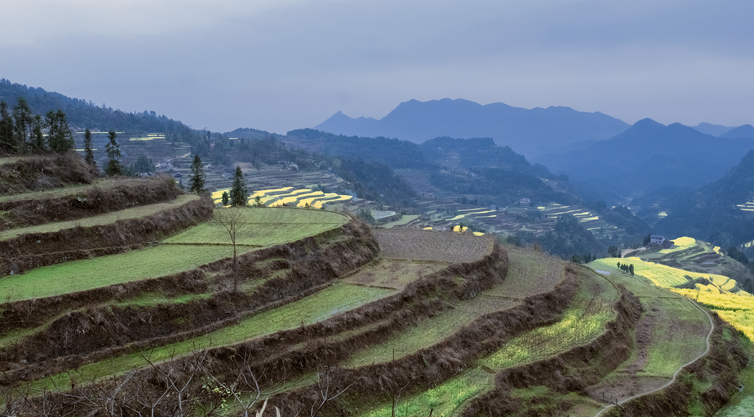 龙凤梯田