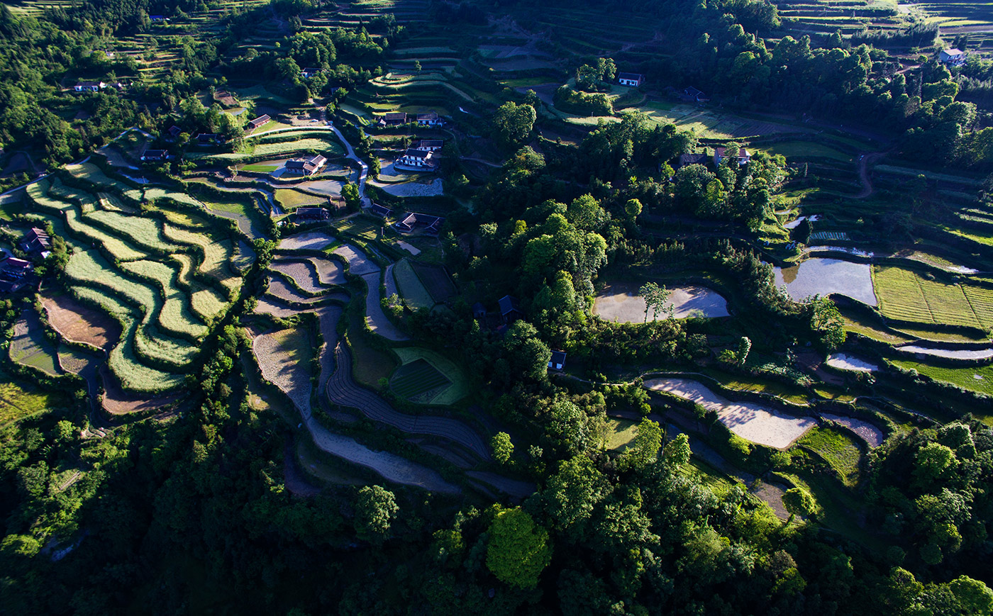 生态田园