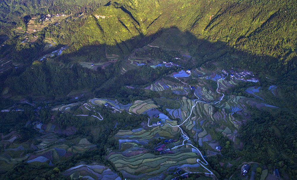 龙凤梯田