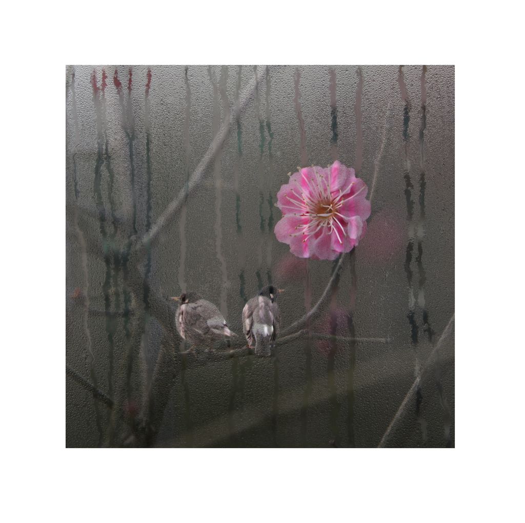 小品