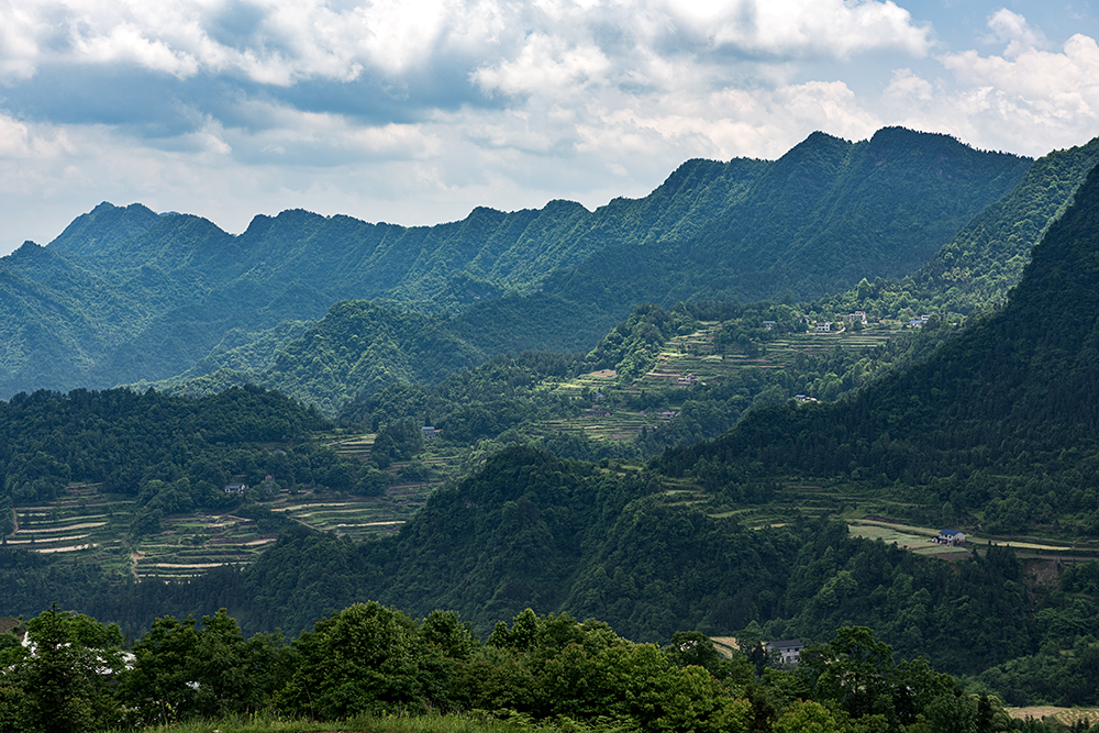 龙凤风光
