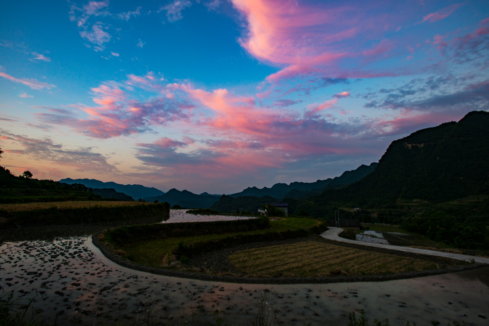 田间朝霞