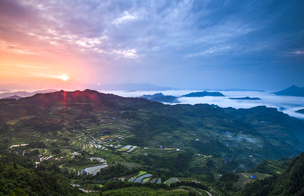 清晨