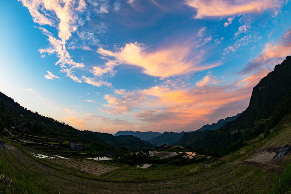 龙凤朝霞