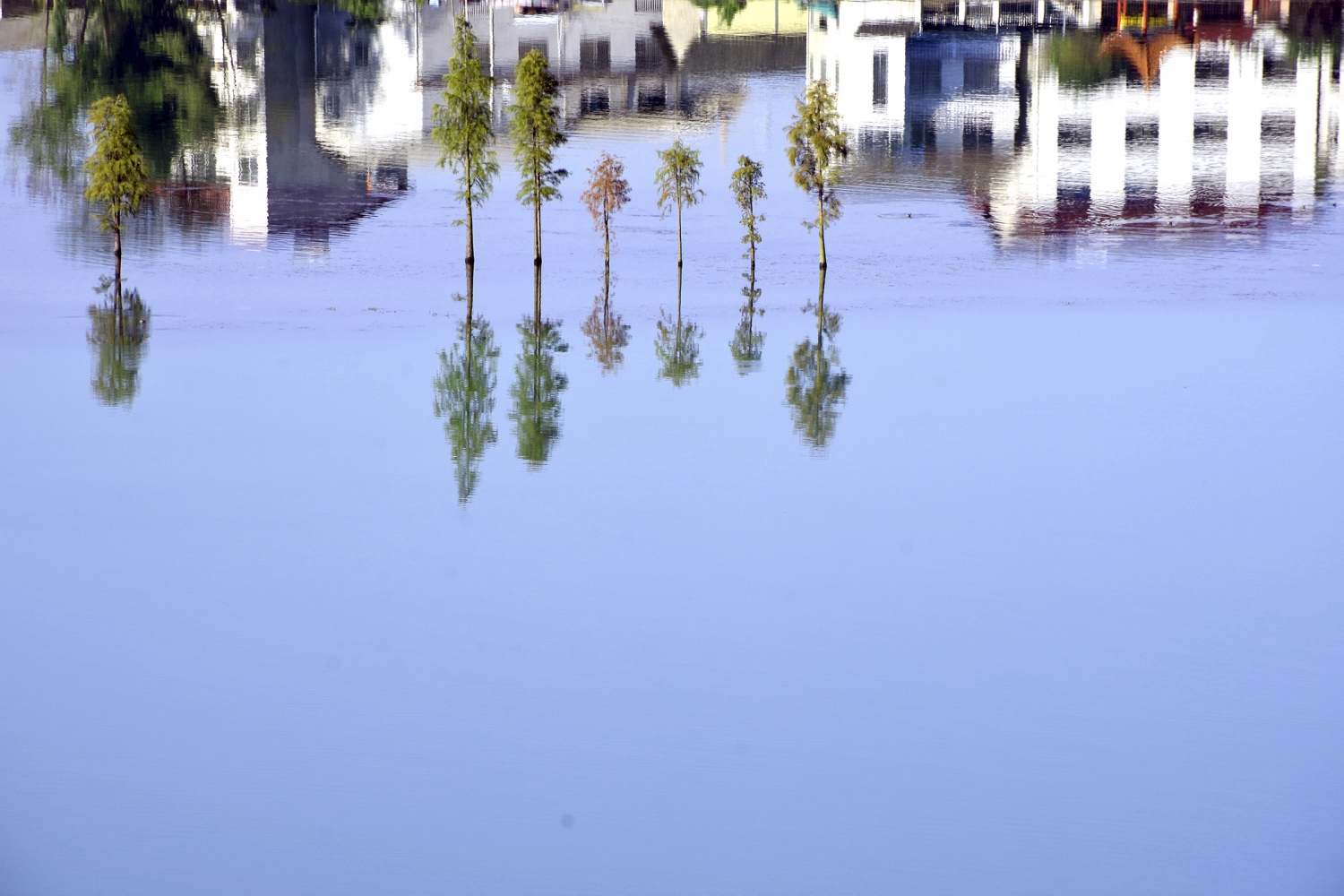 水中画