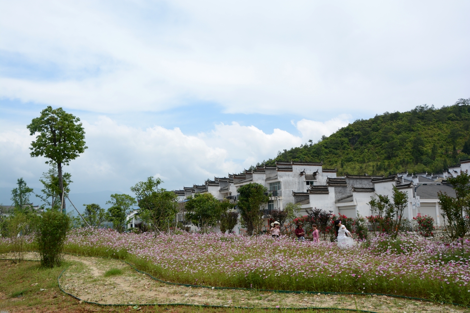 美丽新村
