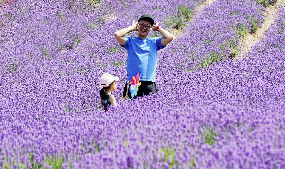 花丛中