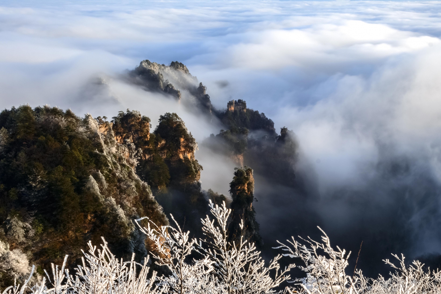 仙山