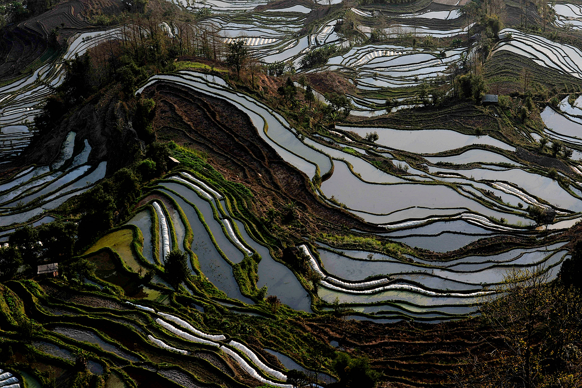 梯 田