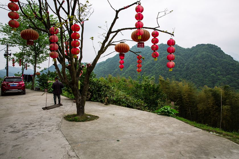 大红灯笼树上挂