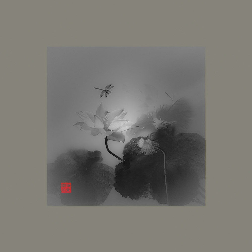 墨荷