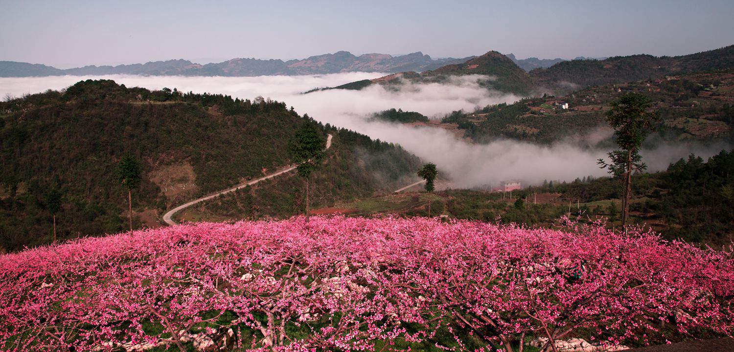 蹇家坡风光