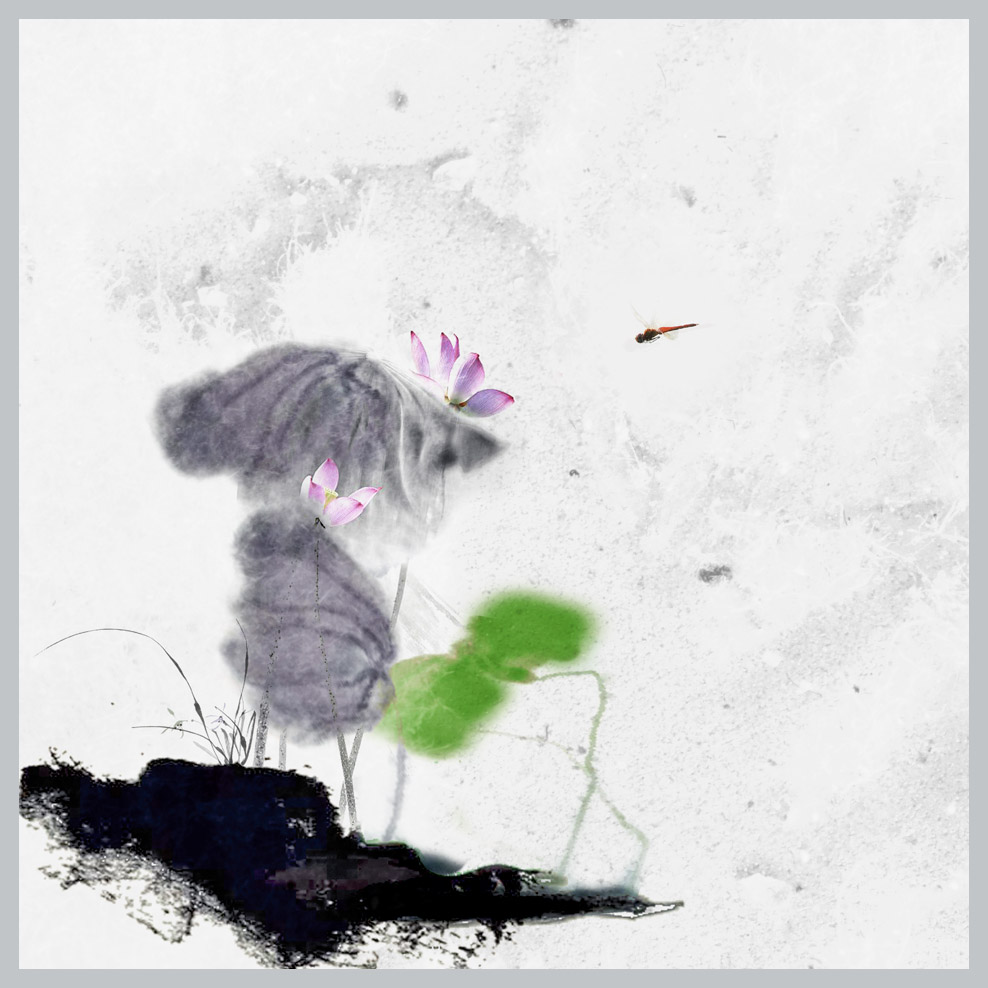 墨荷2