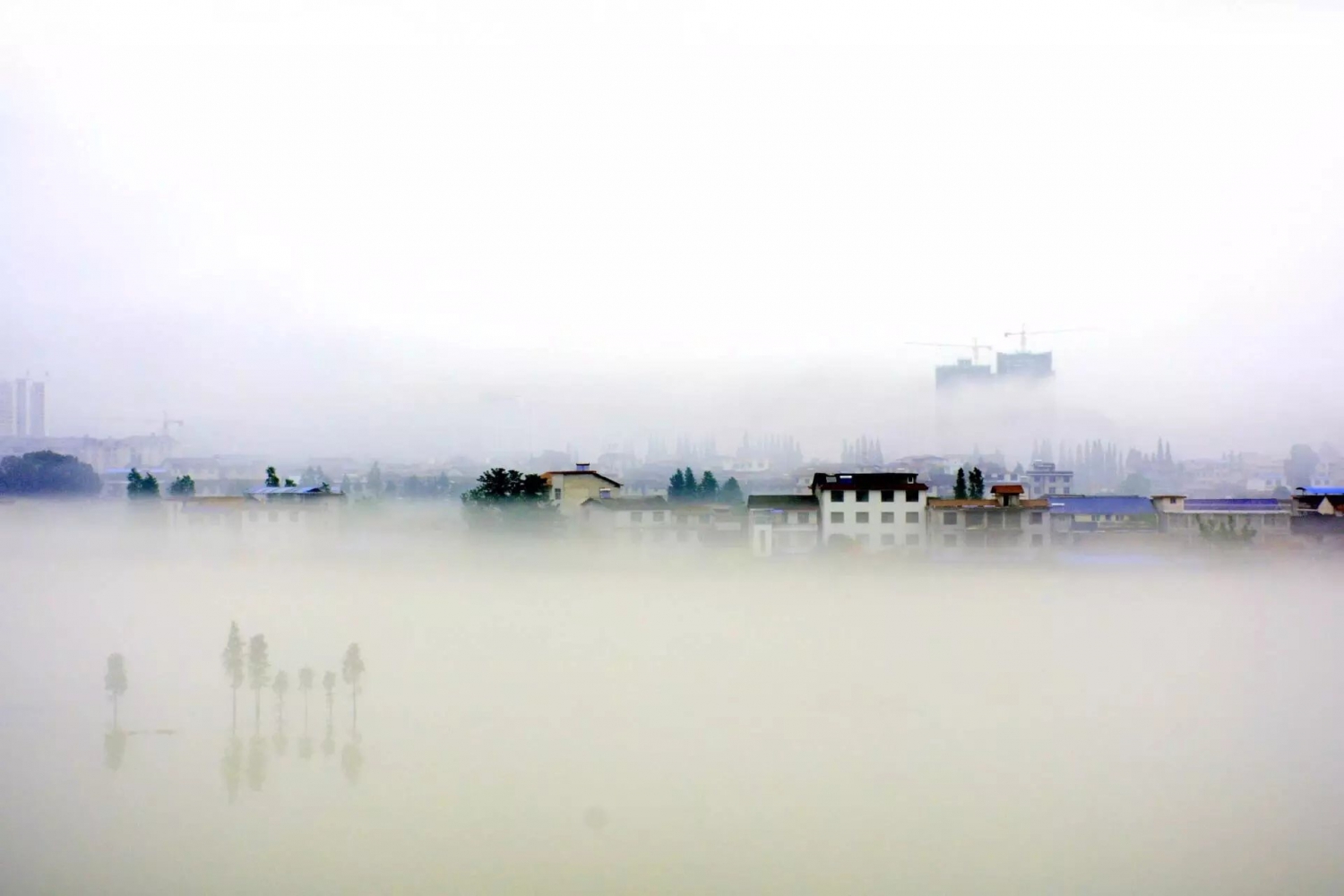澧水河畔