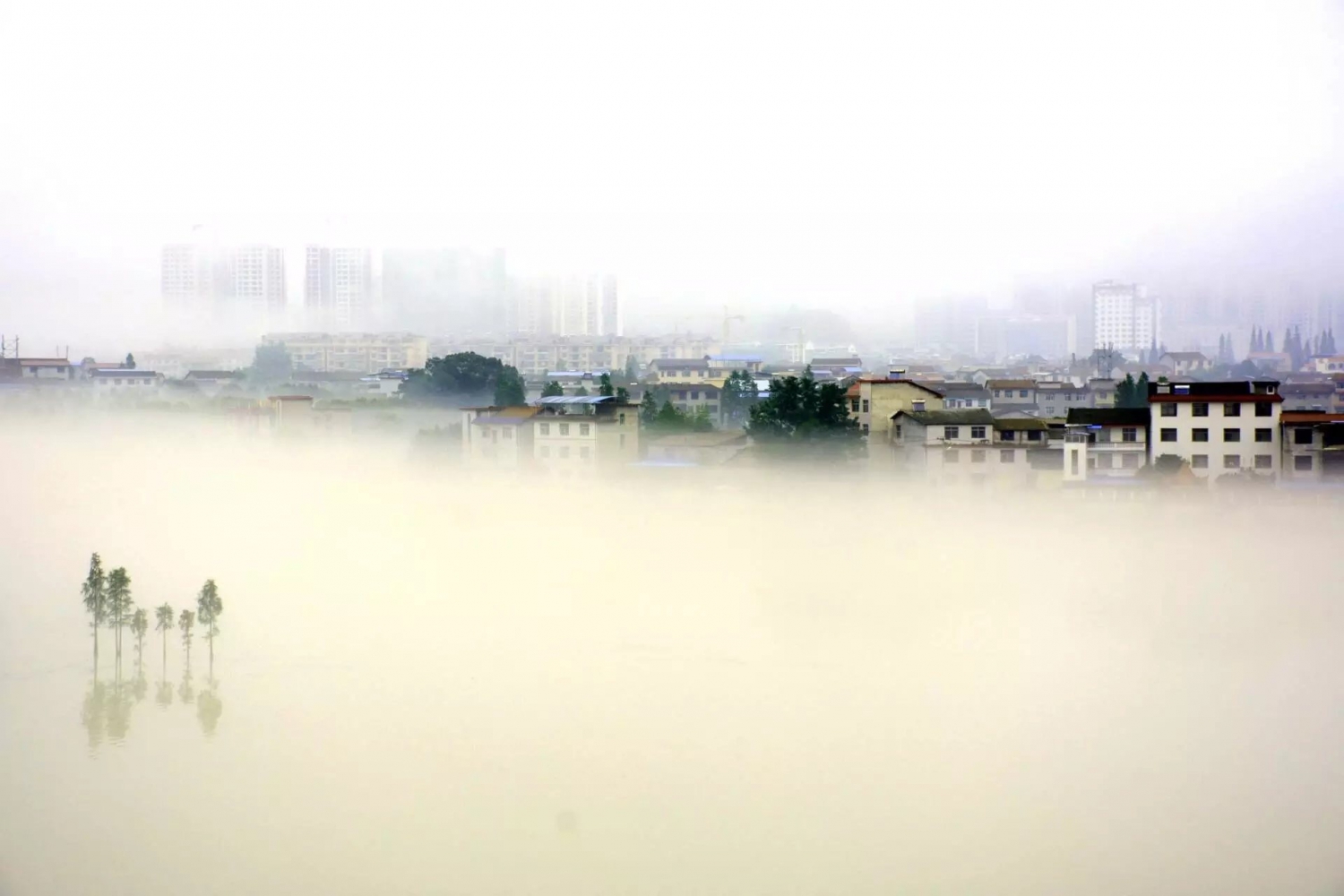 澧水河畔——2