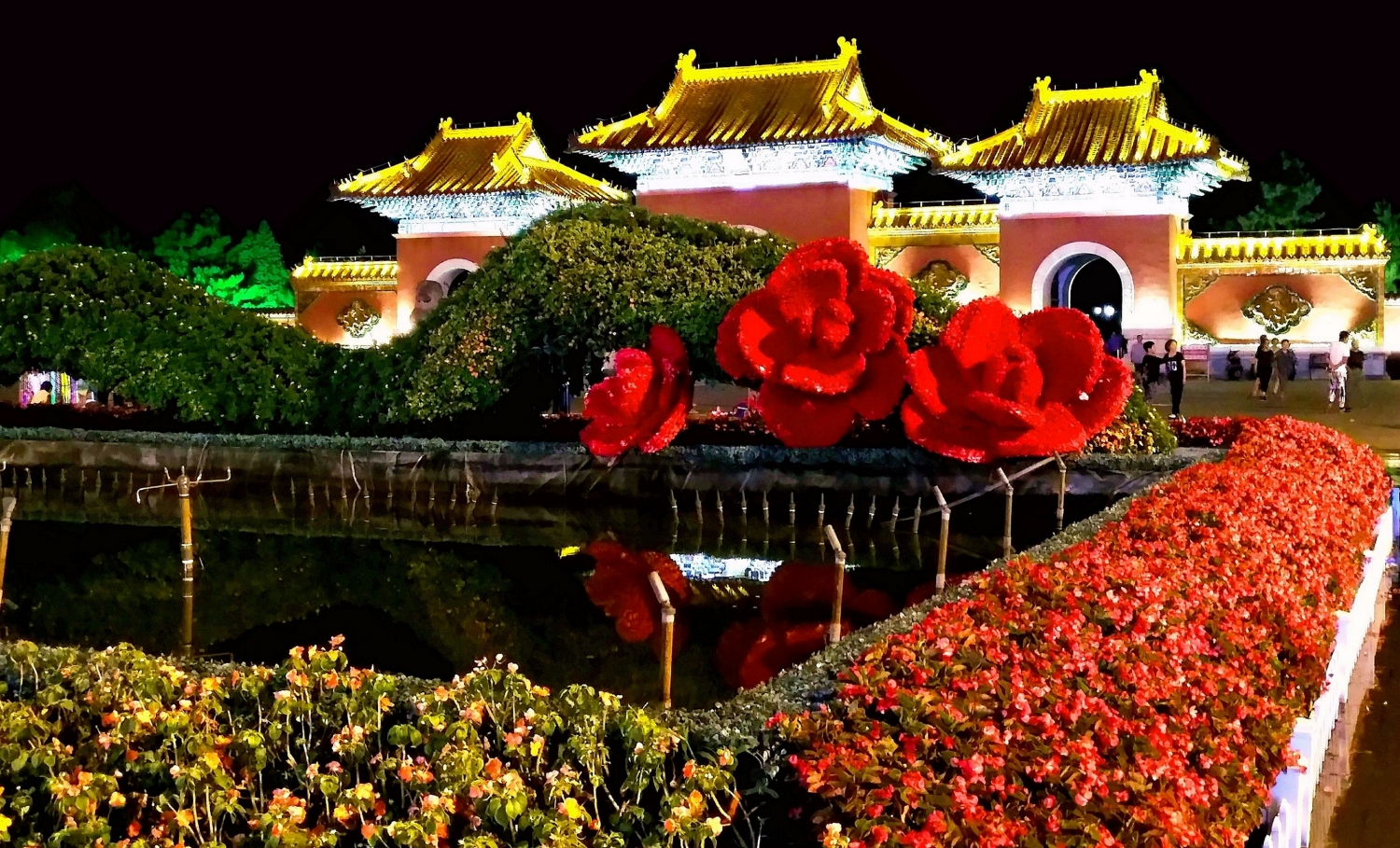 夜玫瑰