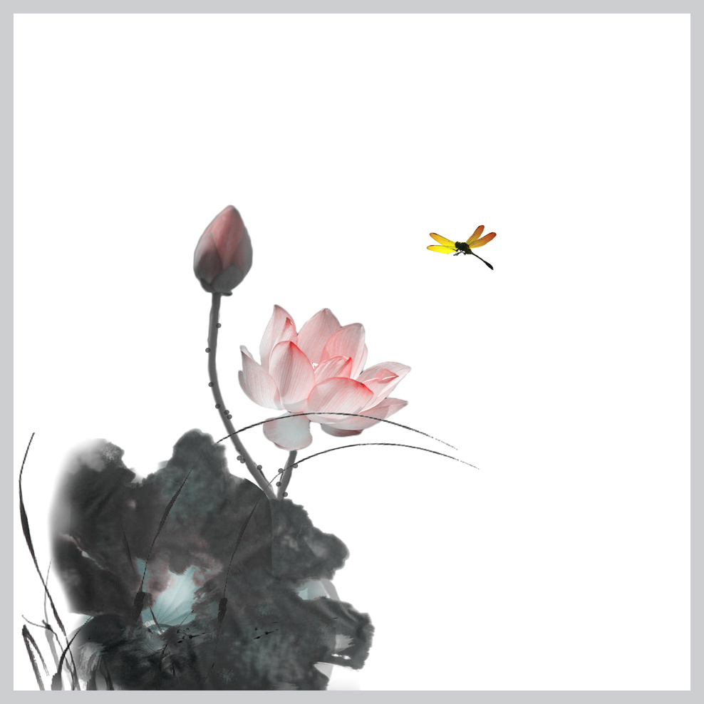 写荷2