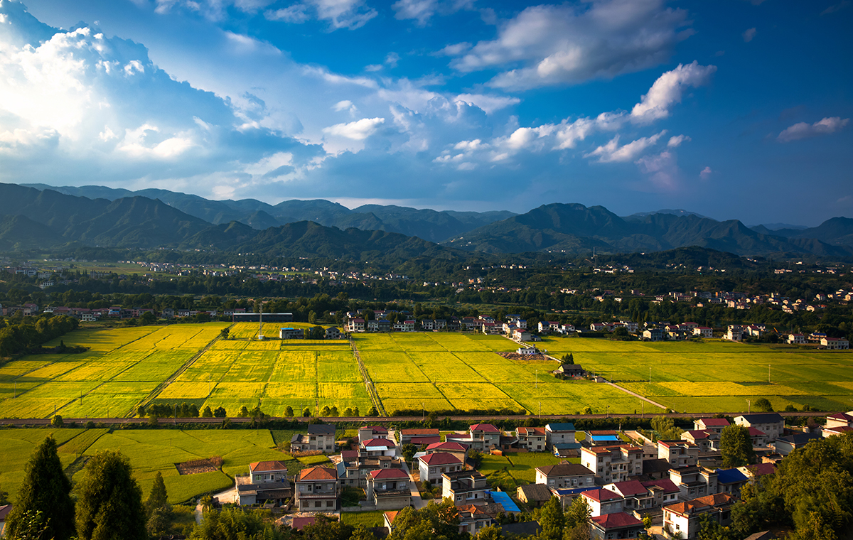 田园风光