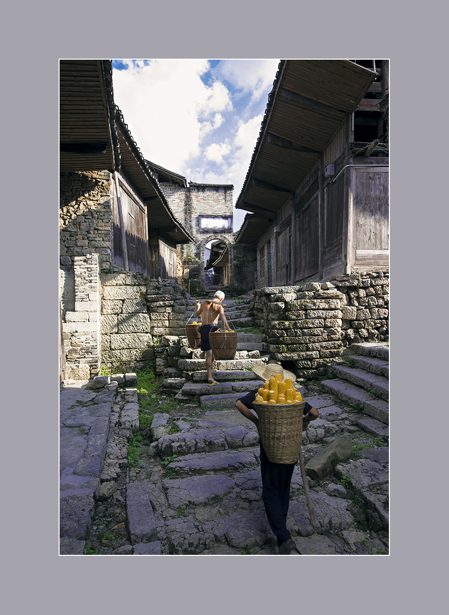 乡村的路