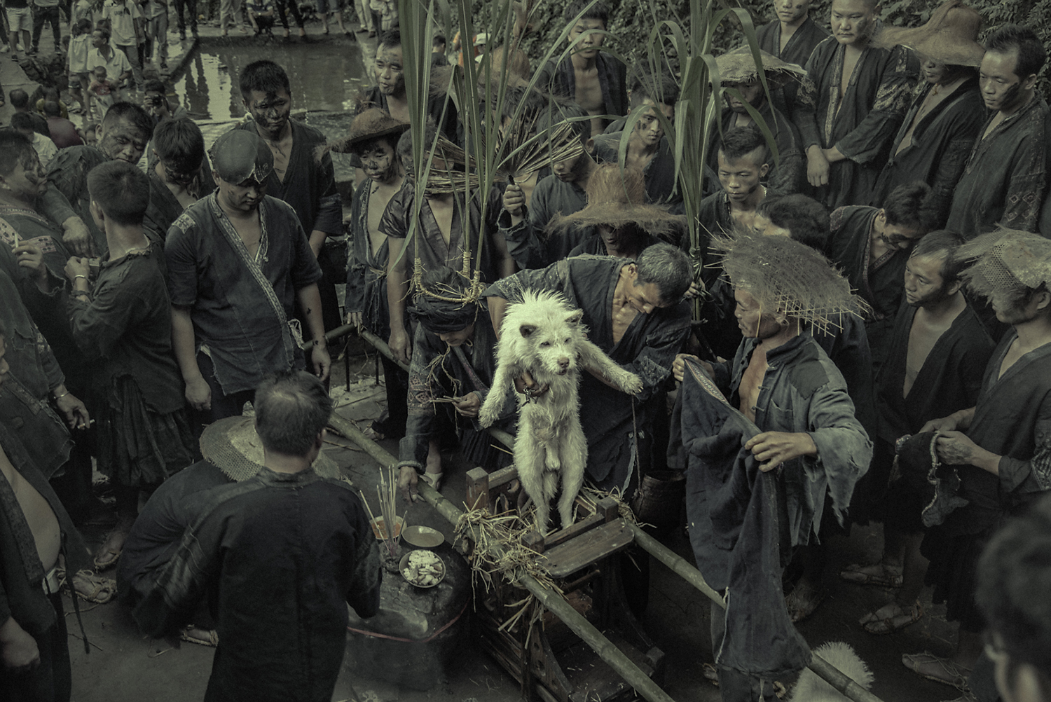 狗神祭