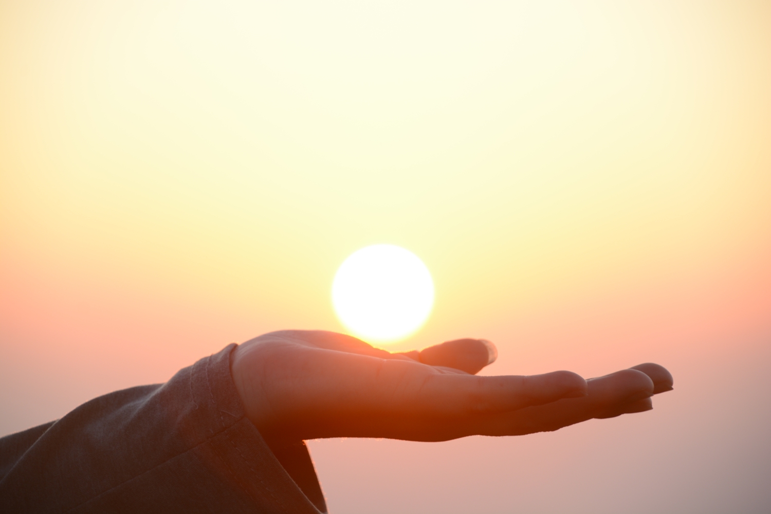 太阳升起.。。。。。。