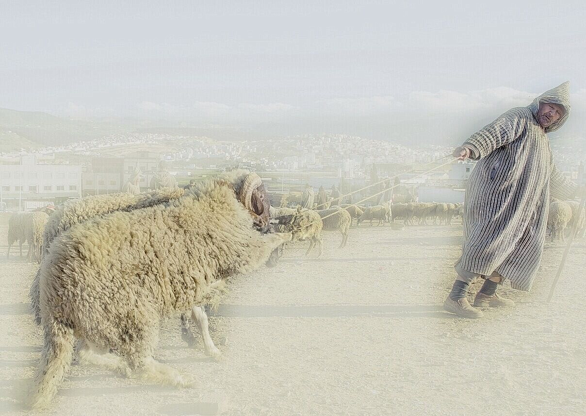 卖羊人