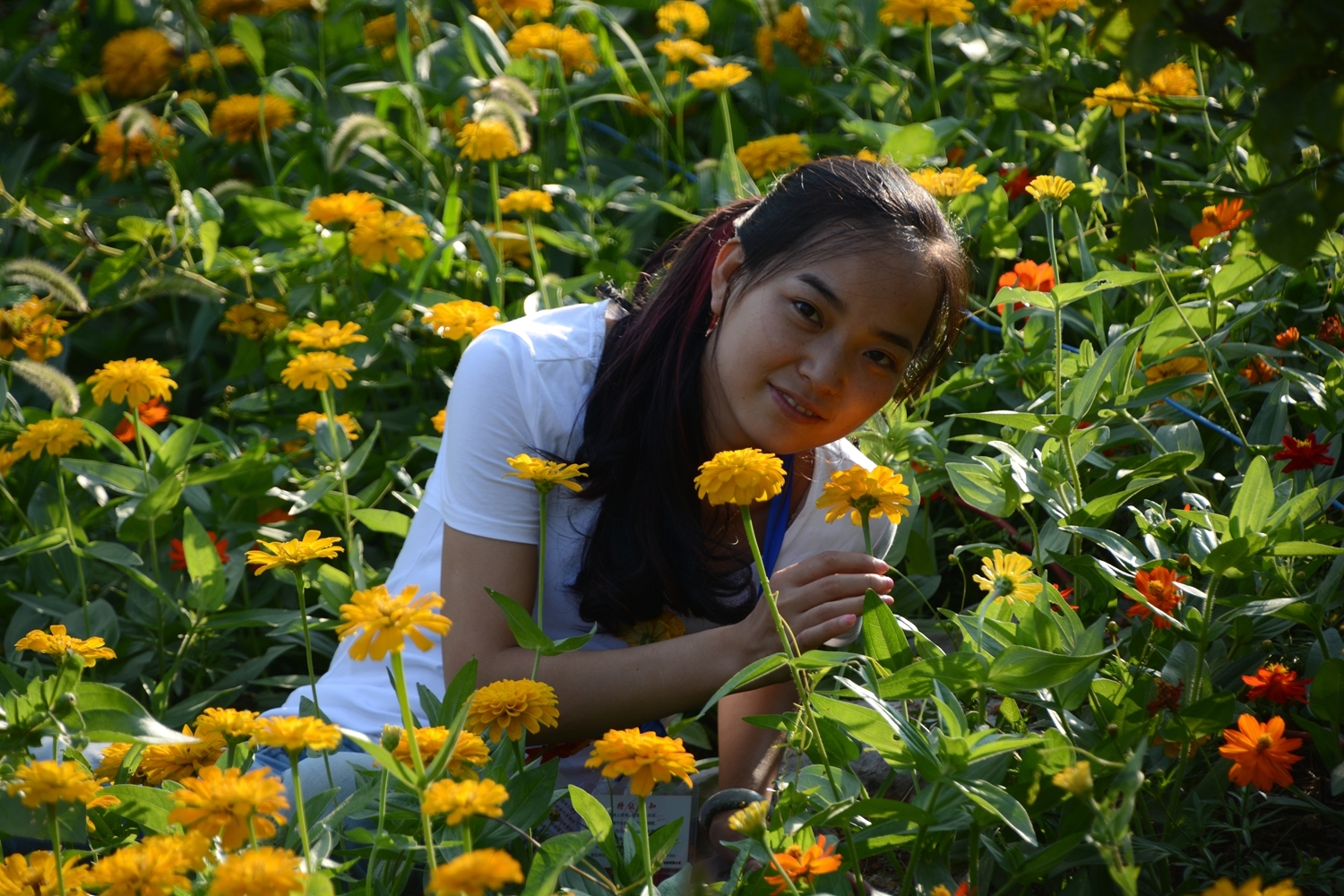 小花
