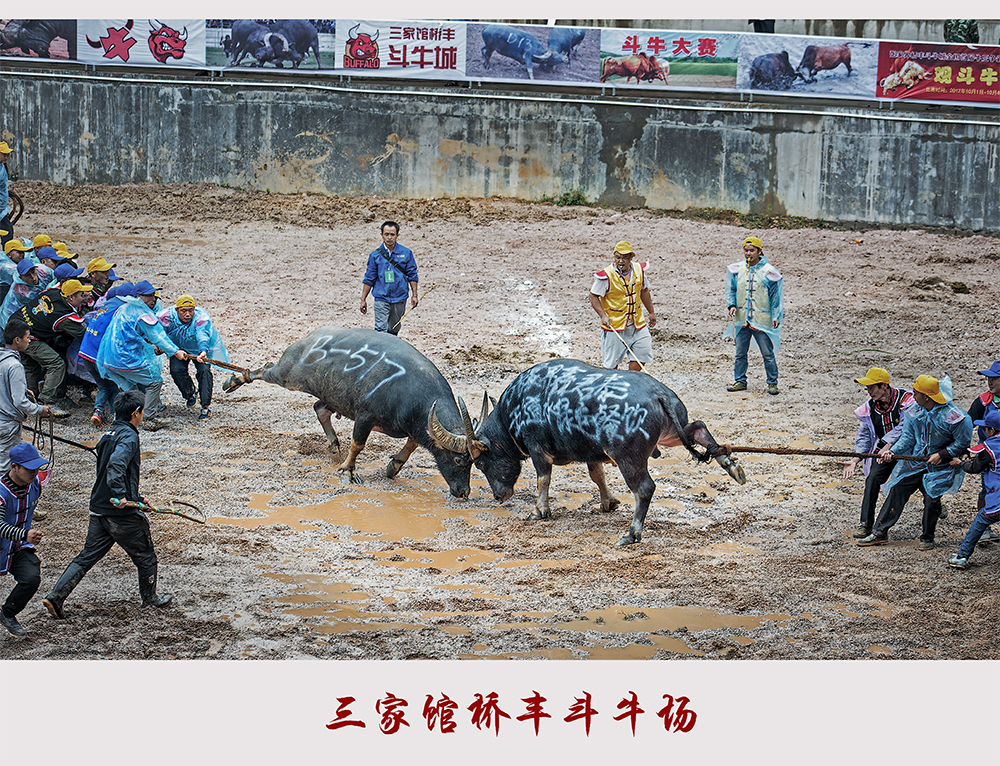 斗牛2