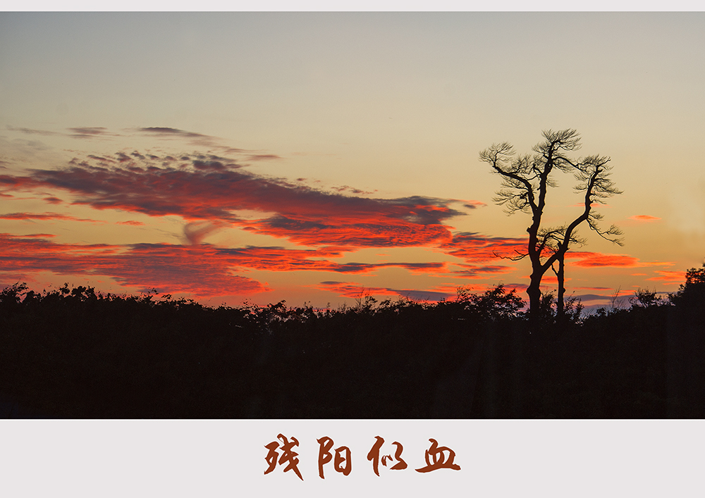 残阳似血
