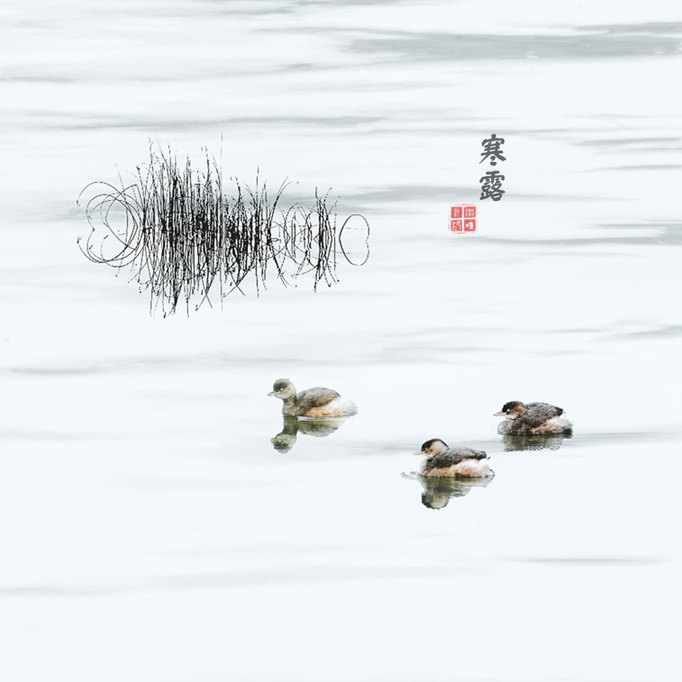 寒露