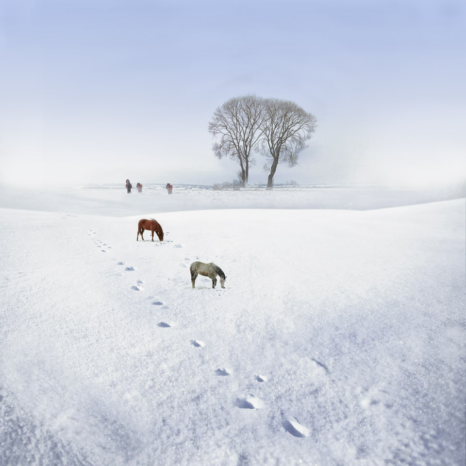 雪域