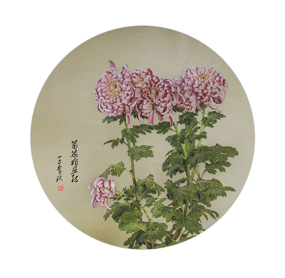 秋菊