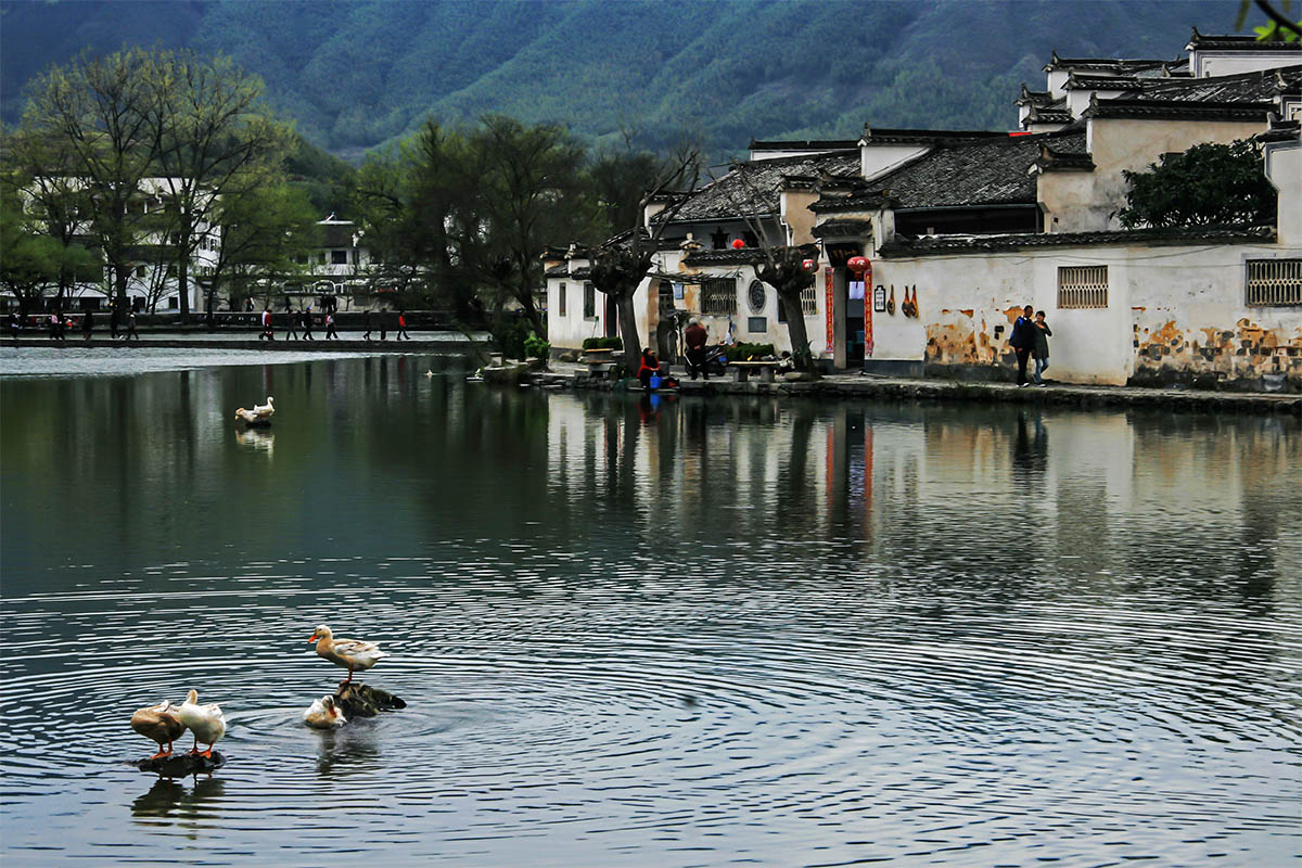 宏村风光
