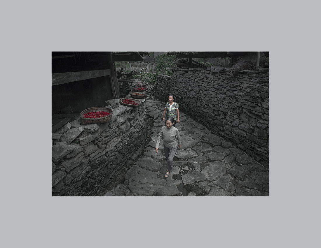 贾市-12