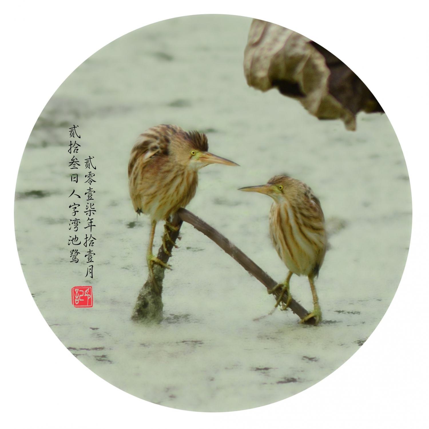 无题