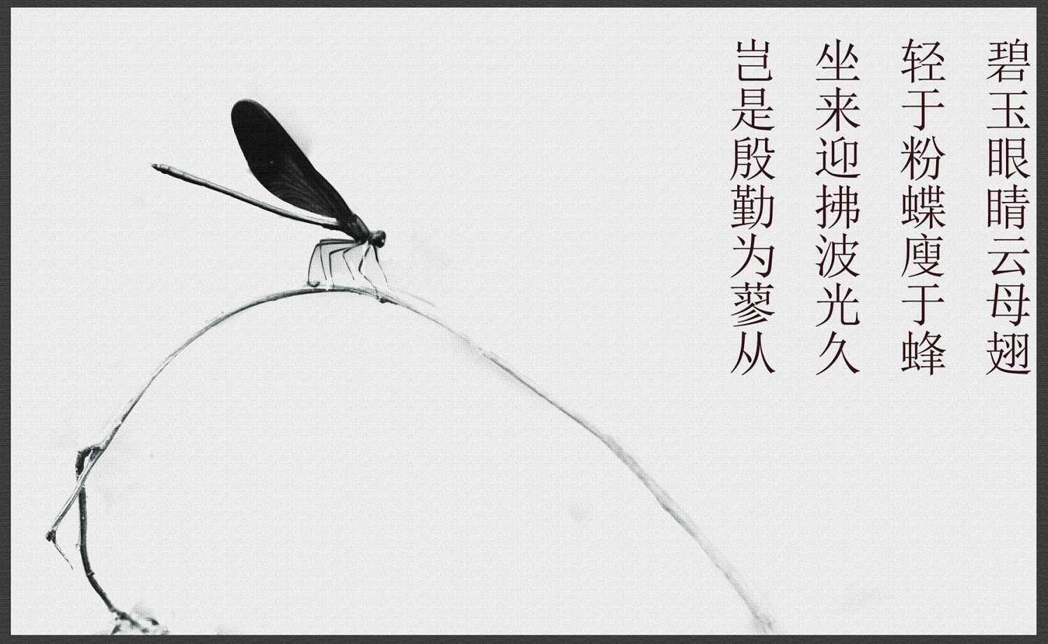 无题
