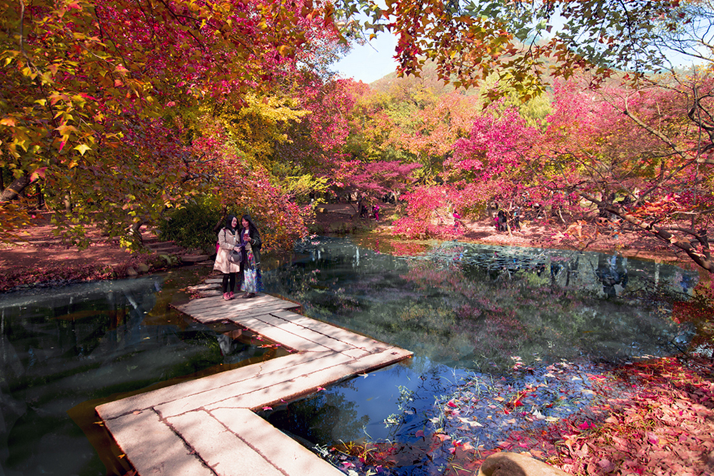 天平山风景