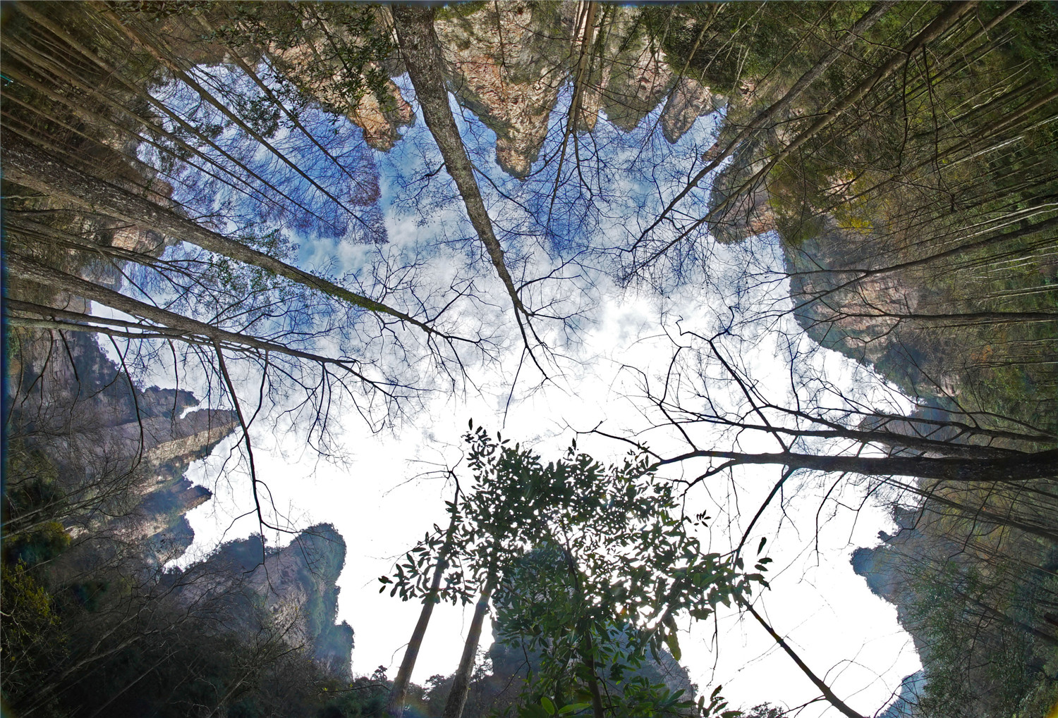 奇峰