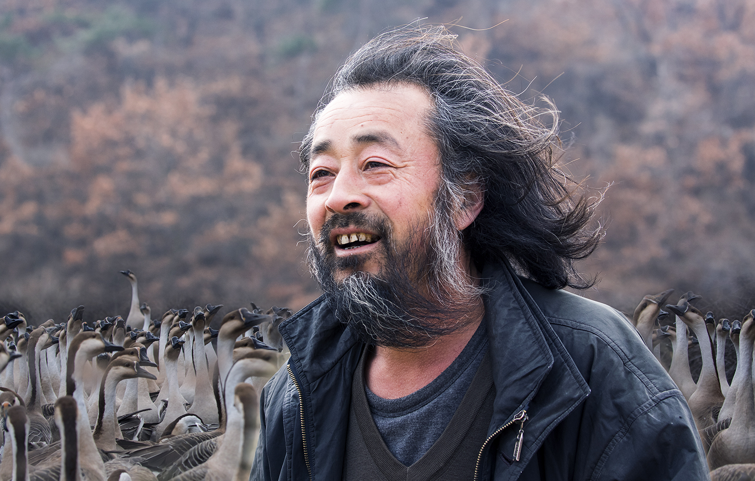 雁司令