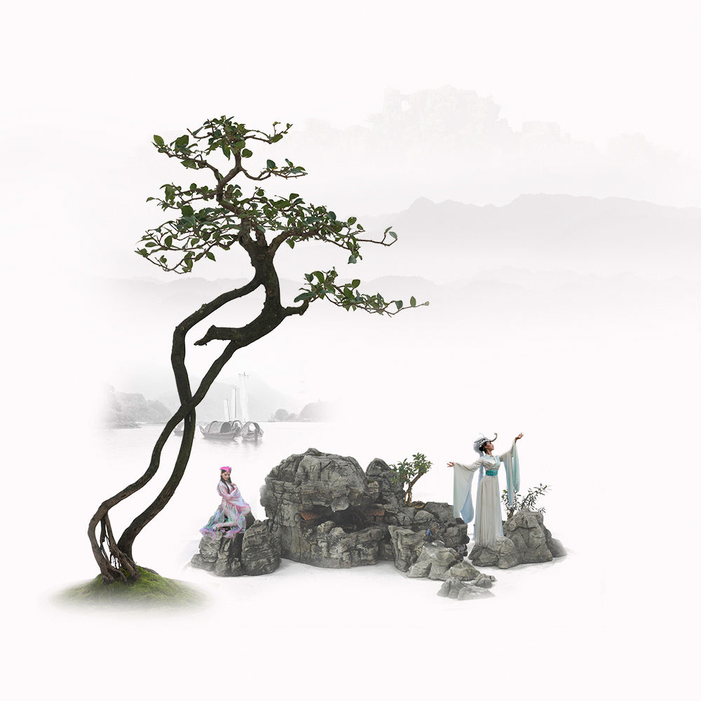 天门狐仙